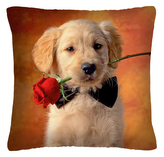 Polštář s motivem psa 33  Mybesthome 40x40 cm