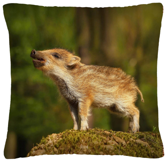 Polštář animal 11 - DIVOKÉ PRASE Mybesthome 40x40 cm
