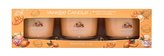 YANKEE CANDLE Mango Ice Cream svíčka votivní 3ks sada