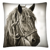 Polštář s motivem koně 18 Mybesthome 40x40 cm