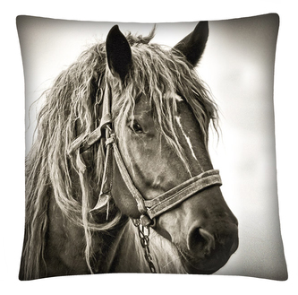 Polštář s motivem koně 18 Mybesthome 40x40 cm