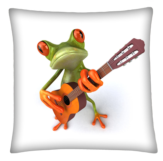 Polštář FROG 02 Mybesthome 40x40 cm