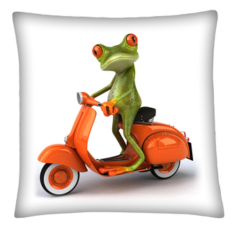Polštář FROG 03 Mybesthome 40x40 cm