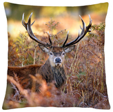 Polštář animal 63 - JELEN II. Mybesthome 40x40 cm