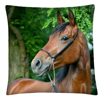 Polštář s motivem koně 15 Mybesthome 40x40 cm