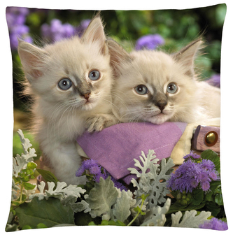 Polštář s motivem kočky 42  Mybesthome 40x40 cm