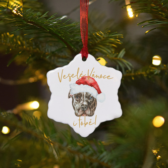 Keramická ozdoba - Pitbul