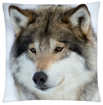 Polštář s vlkem 35 Mybesthome 40x40 cm