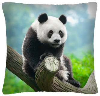 Polštář ANIMAL 29 - PANDA Mybesthome 40x40 cm