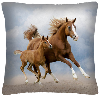 Polštář s motivem koně 32 Mybesthome 40x40 cm