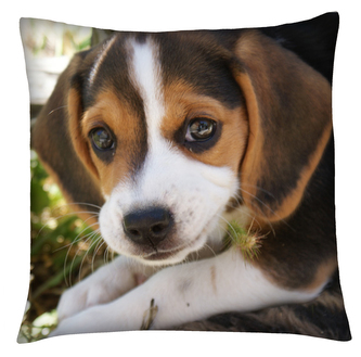 Polštář s motivem psa 12 Mybesthome 40x40 cm