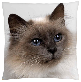 Polštář s motivem kočky 35 Mybesthome 40x40 cm
