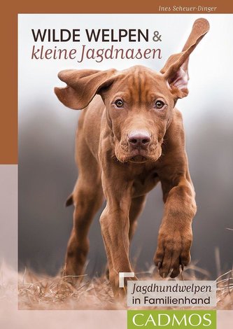 Wilde Welpen & kleine Jagdnasen
