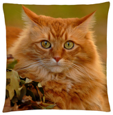 Polštář s motivem kočky 44  Mybesthome 40x40 cm