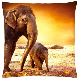 Polštář animal 01 - SLONI Mybesthome 40x40 cm