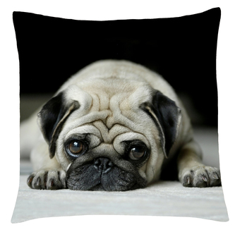 Polštář s motivem psa 23 mopsík, Mybesthome 40x40 cm