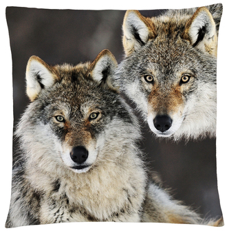 Polštář s vlkem 27 Mybesthome 40x40 cm