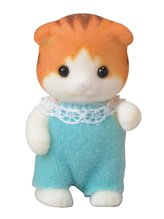 Baby javorové kotě s postýlkou