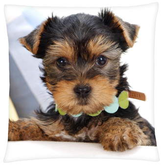 Polštář s motivem psa 31 Mybesthome 40x40 cm