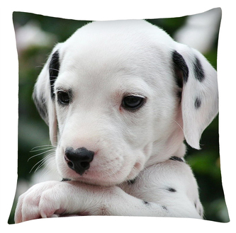 Polštář s motivem psa 01 Mybesthome 40x40 cm