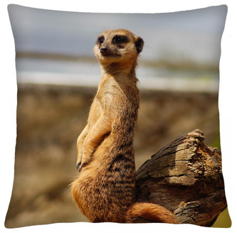 Polštář animal 68 SURIKATY II. Mybesthome 40x40 cm