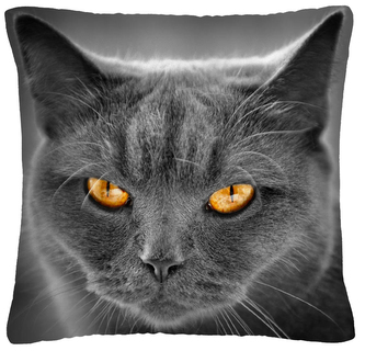 Polštář s motivem kočky 48 Mybesthome 40x40 cm