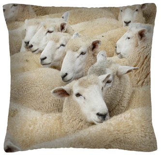 Polštář animal 15 - OVCE  Mybesthome 40x40 cm