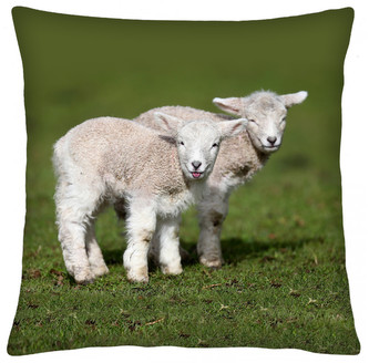 Polštář animal 55 - OVEČKY Mybesthome 40x40 cm