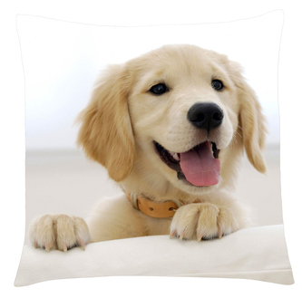 Polštář s motivem psa 26 Retriever Mybesthome 40x40 cm