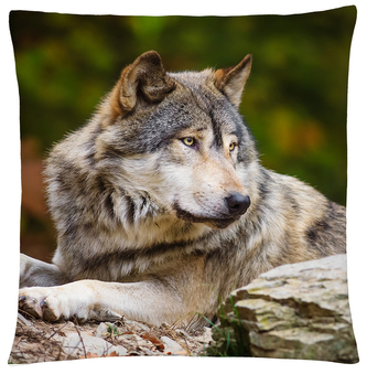 Polštář s vlkem 23 Mybesthome 40x40 cm