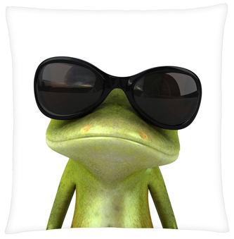 Polštář FROG 04 Mybesthome 40x40 cm