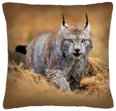 Polštář animal 05 - RYS  Mybesthome 40x40 cm