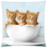 Polštář s motivem kočky 38 Mybesthome 40x40 cm