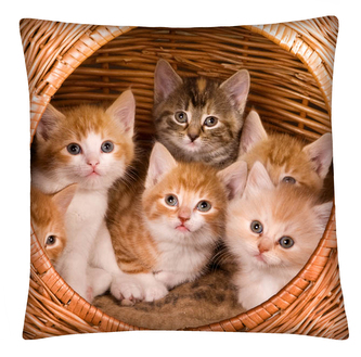 Polštář s motivem kočky 17 Mybesthome 40x40 cm