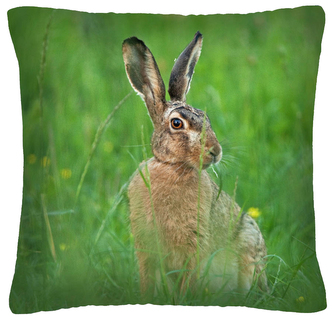 Polštář animal 06 - ZAJÍC  Mybesthome 40x40 cm