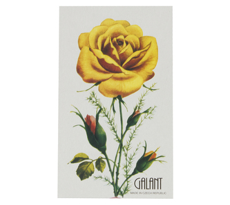 Sada jehel s navlékačem na kartě - stříbrný - mix rozměrů