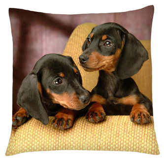 Polštář s motivem psa 21 Mybesthome 40x40 cm