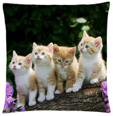 Polštář s motivem kočky 36 Mybesthome 40x40 cm