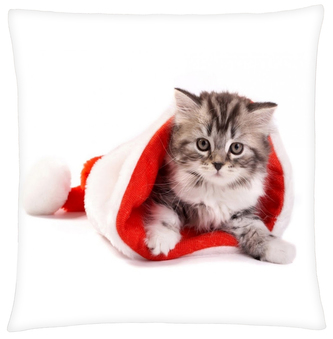 Polštář KOČKA V ČEPICI  Mybesthome 40x40 cm