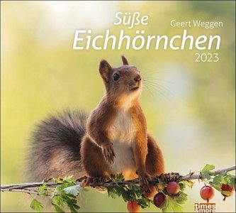 times&more Eichhörnchen Bildkalender 2023