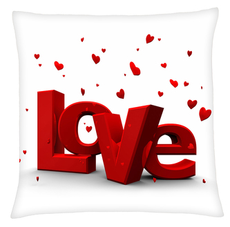Polštář LOVE 20 Mybesthome 40x40 cm