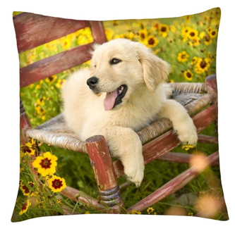 Polštář s motivem psa 15 Mybesthome 40x40 cm