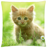 Polštář s motivem kočky 39 Mybesthome 40x40 cm