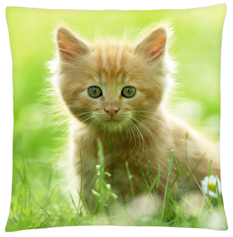 Polštář s motivem kočky 39 Mybesthome 40x40 cm