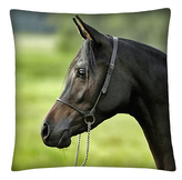 Polštář s motivem koně 17 Mybesthome 40x40 cm
