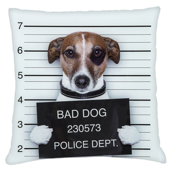 Polštář s motivem psa 34  Mybesthome 40x40 cm