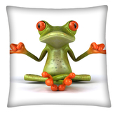 Polštář FROG 01 Mybesthome 40x40 cm