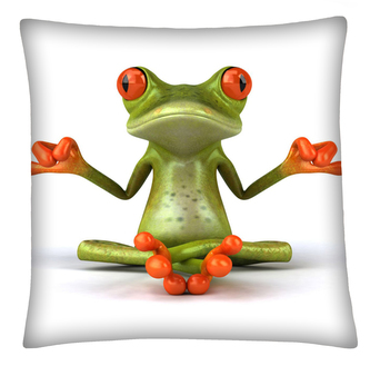 Polštář FROG 01 Mybesthome 40x40 cm