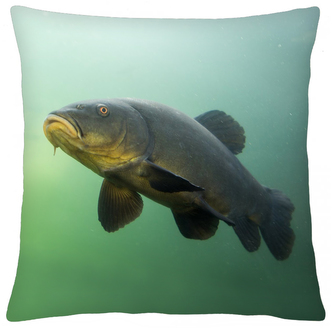 Polštář animal 53 - LÍN Mybesthome 40x40 cm