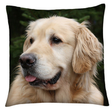 Polštář s motivem psa 14 Mybesthome 40x40 cm